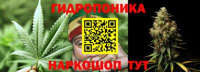 прущие грибы Мариинск