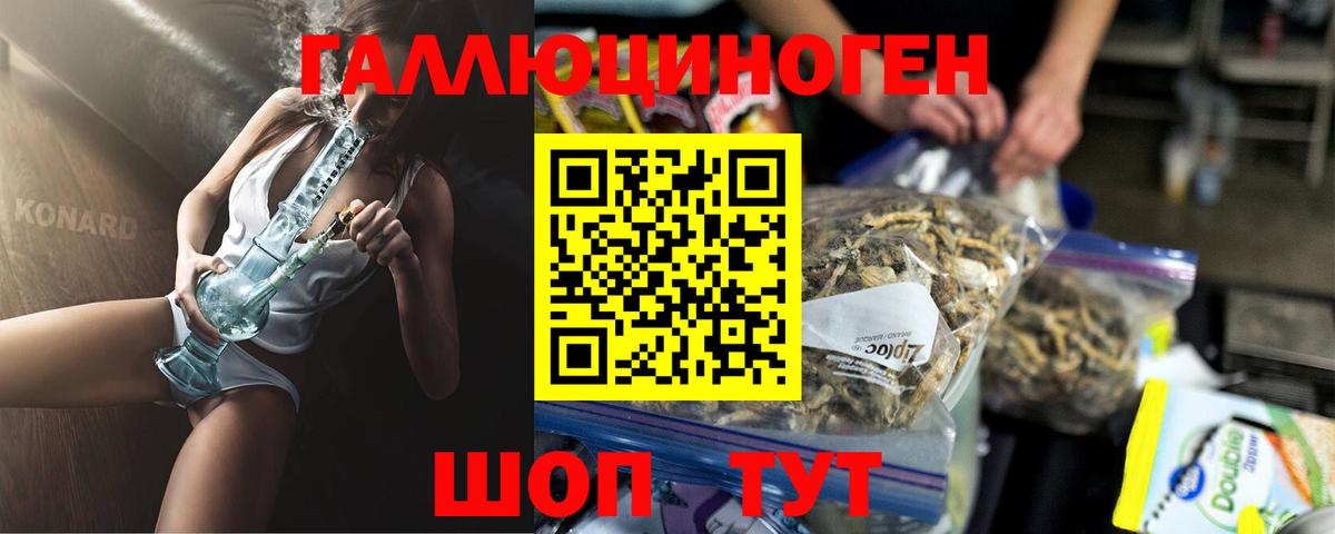 Юрга  Галлюциногенные грибы Cubensis  Вход с VPN 