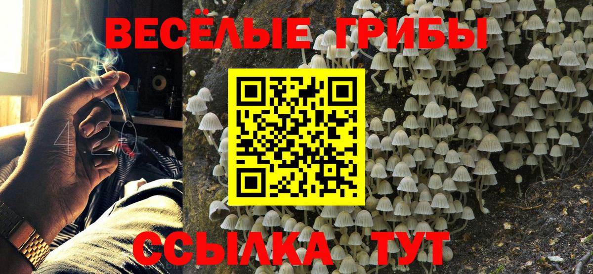 Псилоцибиновые грибы прущие грибы Юрга