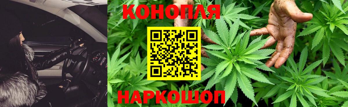 Бошки марихуана THC 21% Юрга